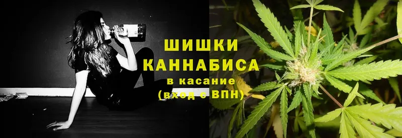 Конопля сатива  даркнет как зайти  Иланский  ссылка на мегу сайт 